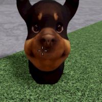 ด้อมนีโม่ค่กๆ🐶