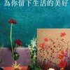 夢時代糖村-購物群