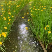 お褒めの会