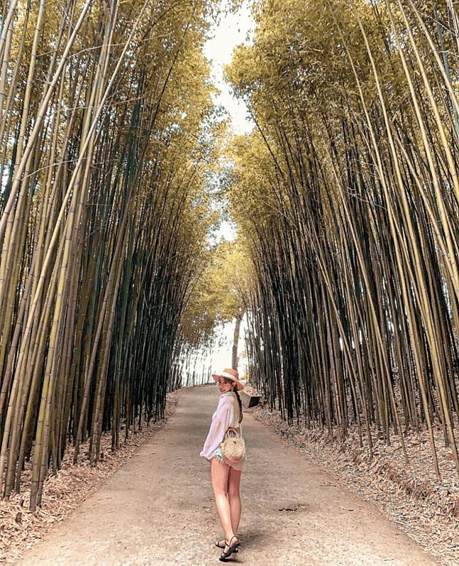 照片來源：IG @chenwawa_618