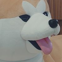キラキラ秋田大学生のつどい✨