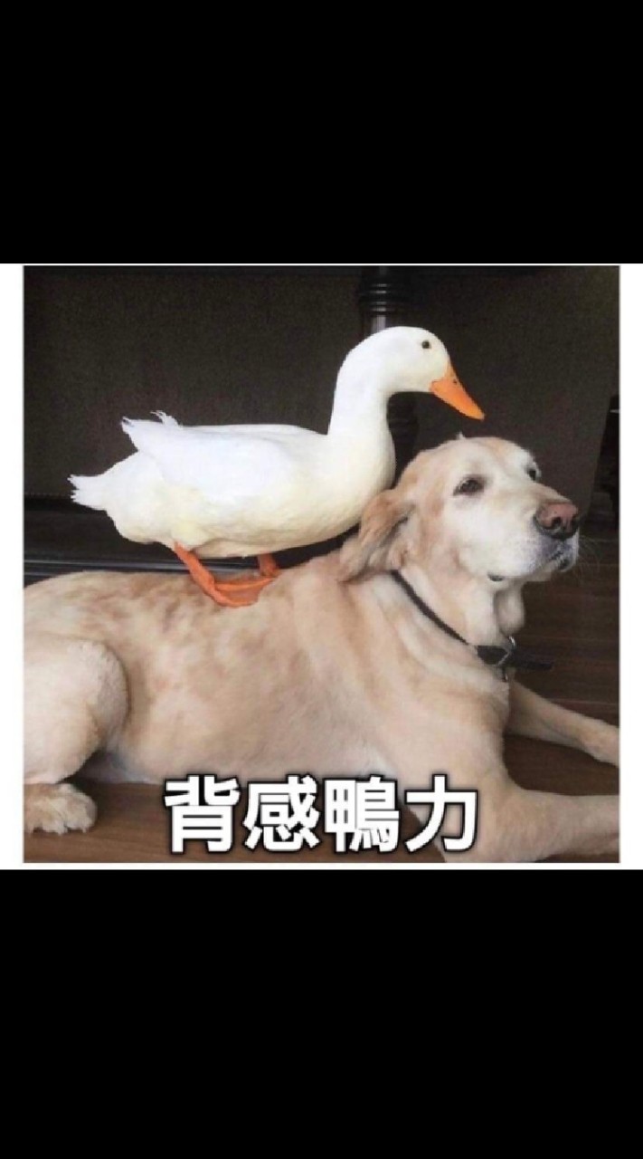好運艾靈小隊