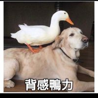 好運艾靈小隊