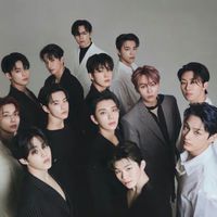 SEVENTEEN九週年應援紀念踢發放群