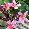 喜美姉のご縁サロン🌺