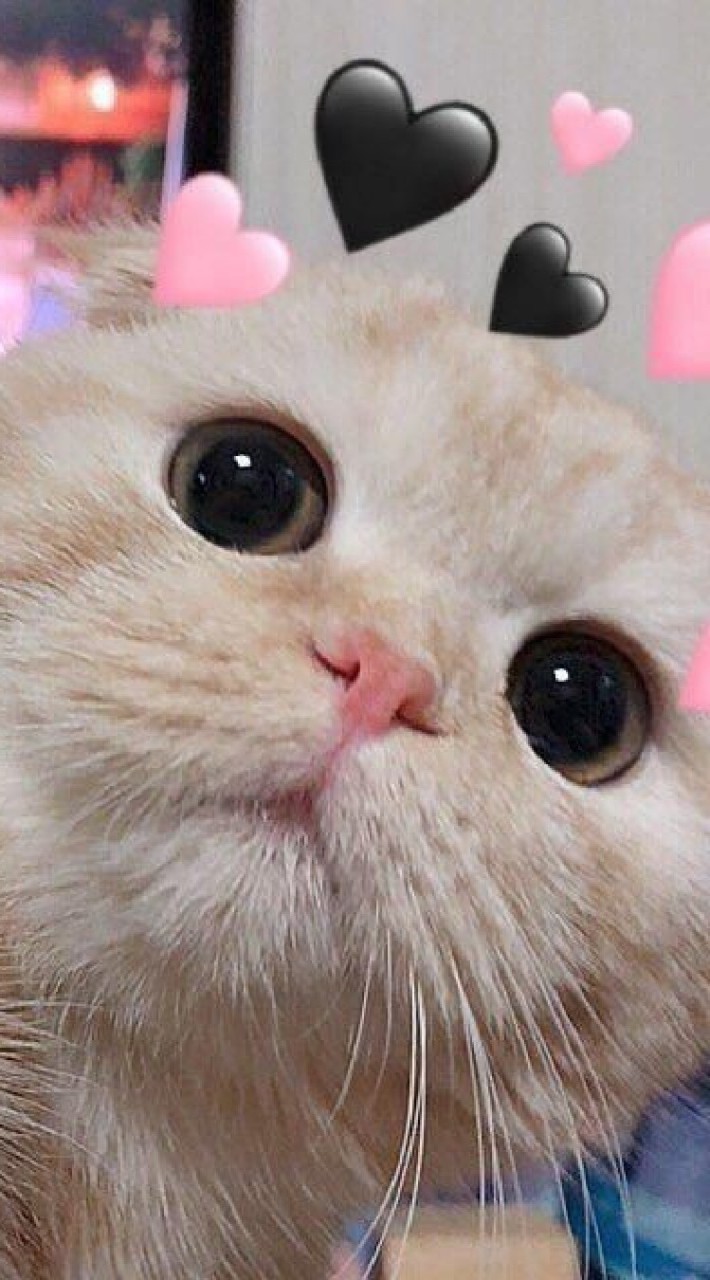 กลุ่มเพื่อนสนิดและพี่