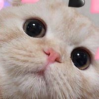 กลุ่มเพื่อนสนิดและพี่