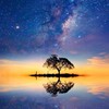 一貫道/智慧寶庫/仙佛語錄/道學