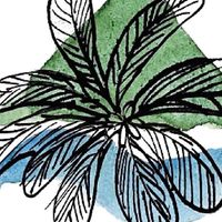 草海桐海景民宿