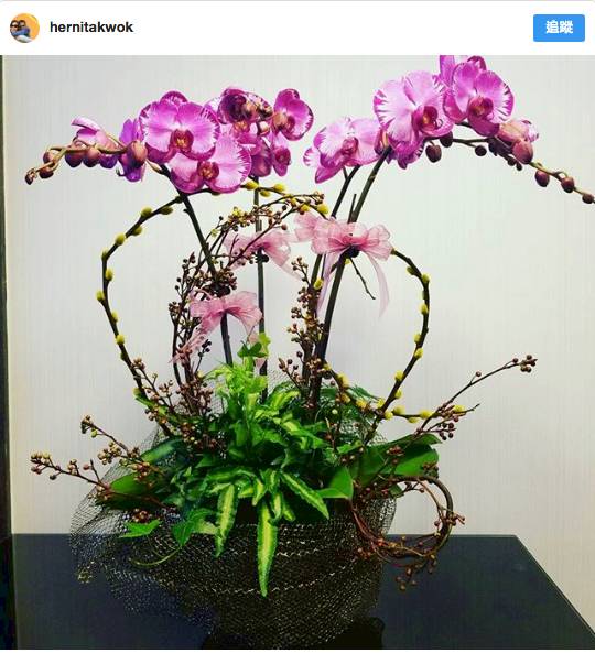 公開12種年花寓意 豬年年花吉位擺錯隨時衰3年 東方新地 Line Today