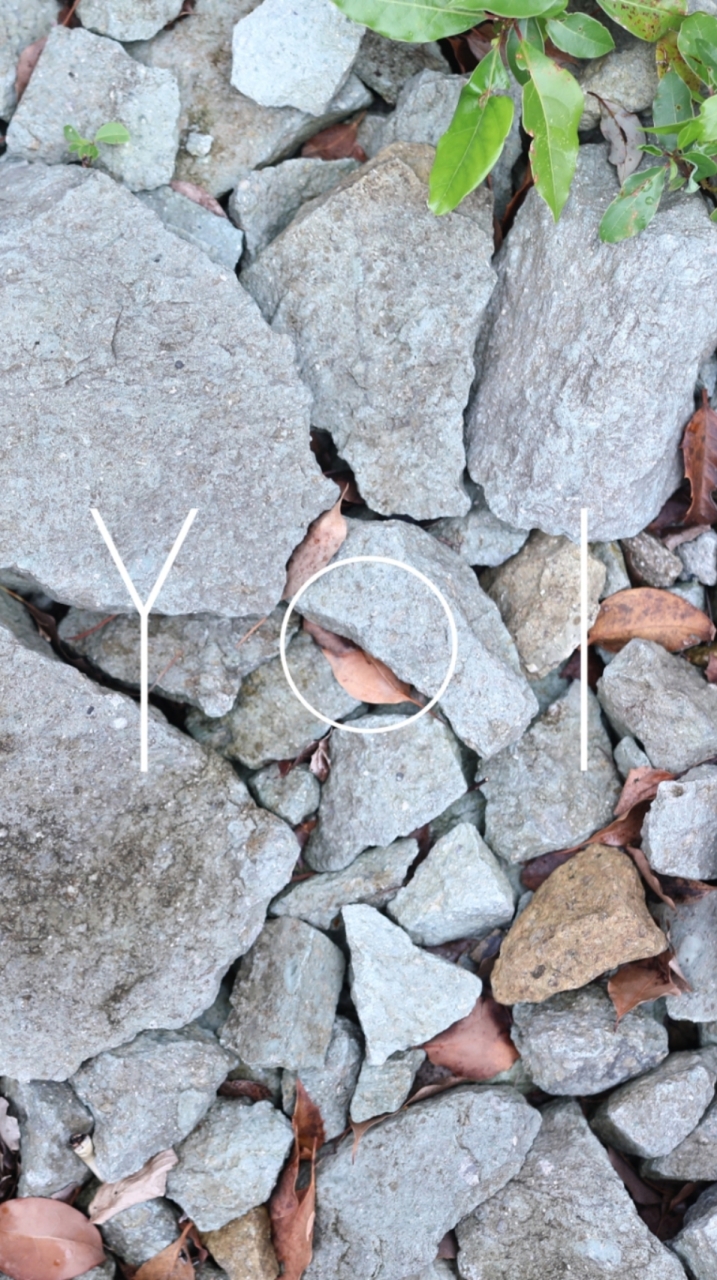 YOI公式アンバサダー掲示板
