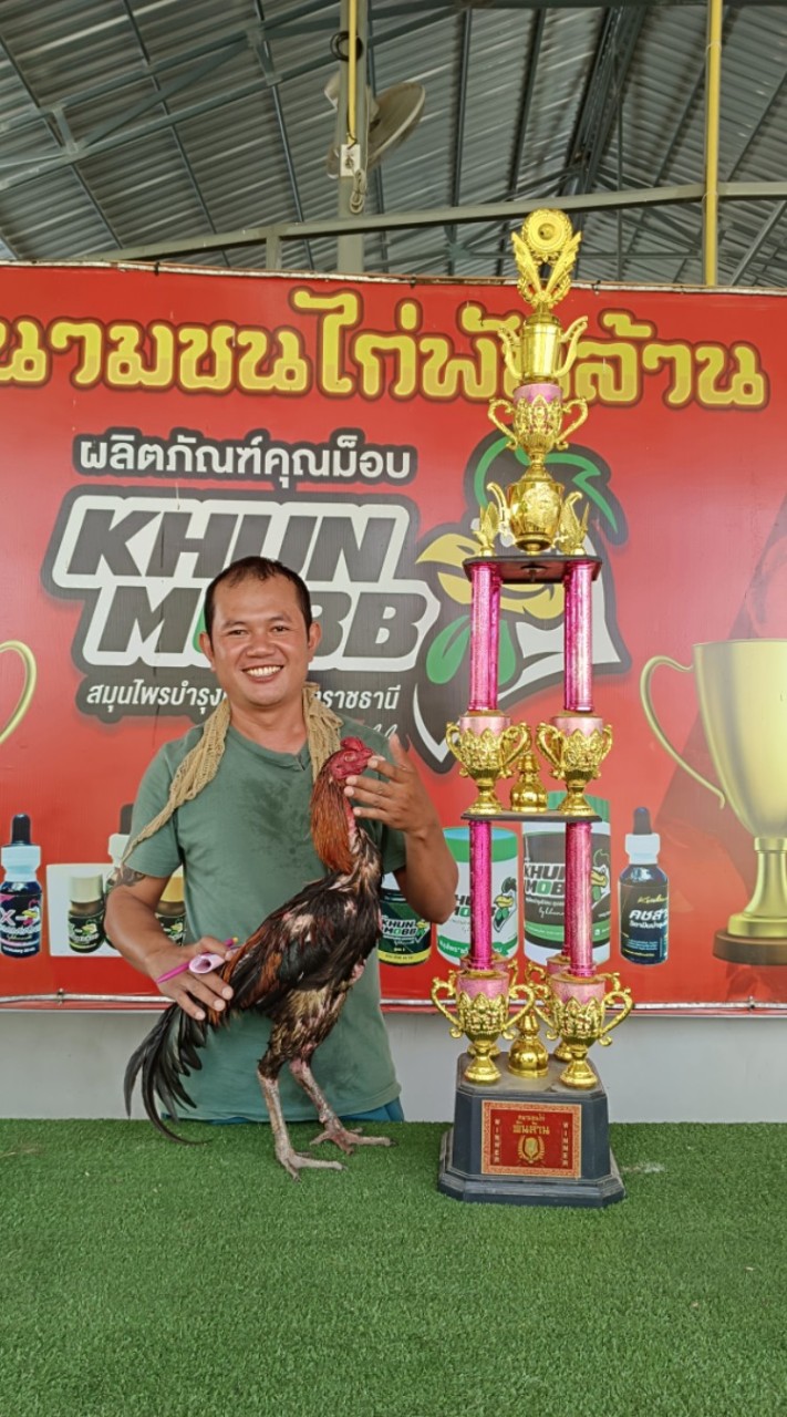 รับทำป้ายไม้ กล่องไก่ และ ไก่ชน🐓🐓🐓