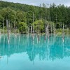 植物・景色・動物の写真館