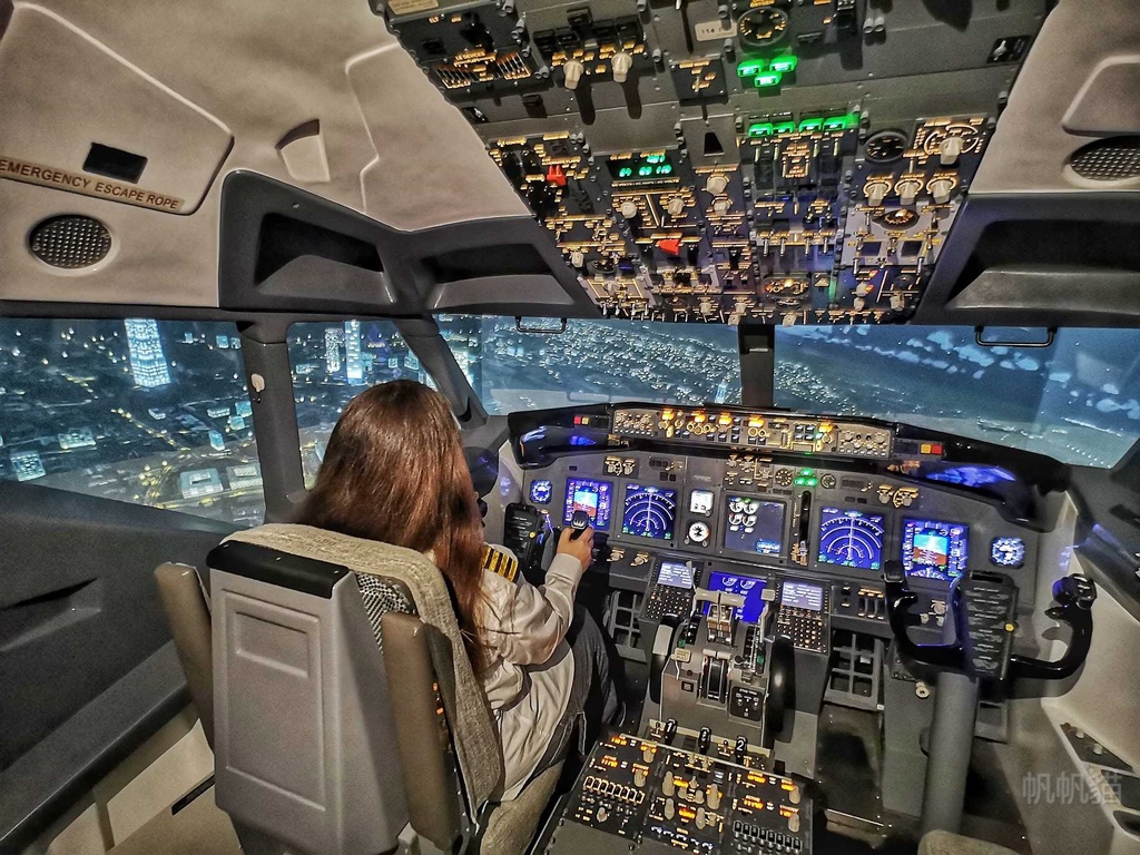 PhotoCap_011