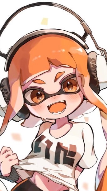 スプラトゥーンオプチャ