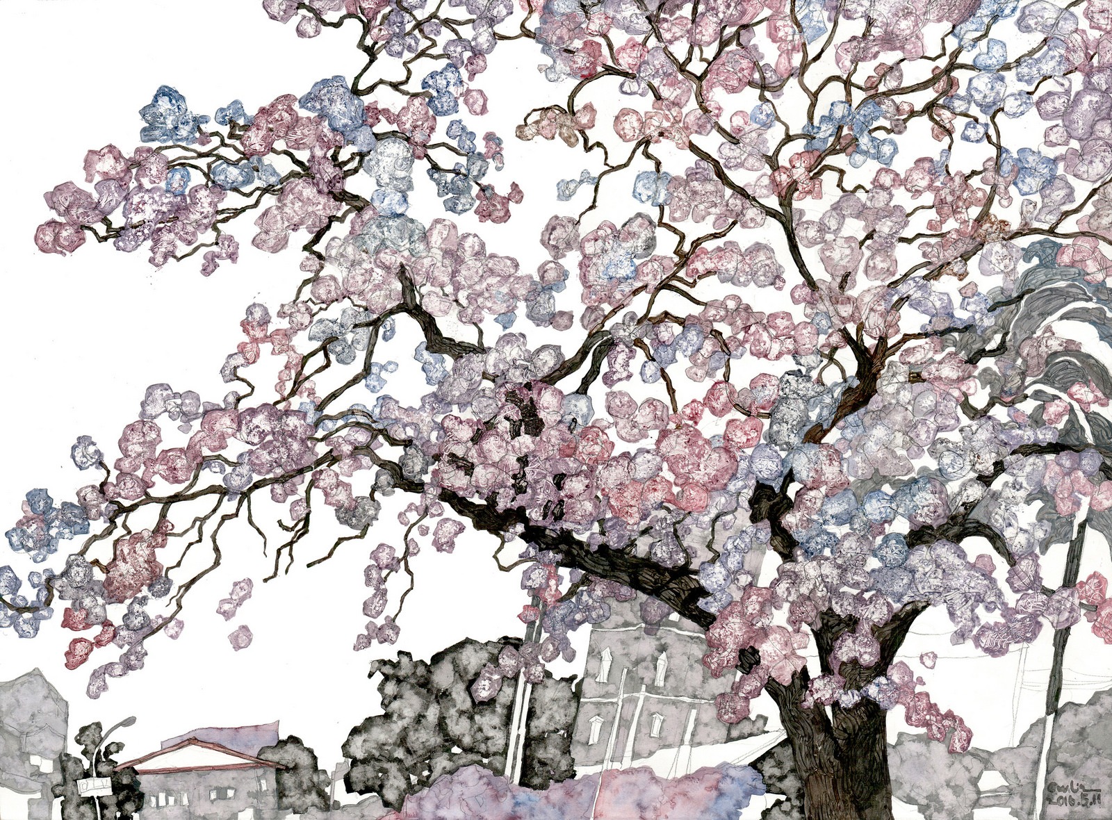 苦楝 -01-妳好南搞-1/2藝術蝦 Artshrimp