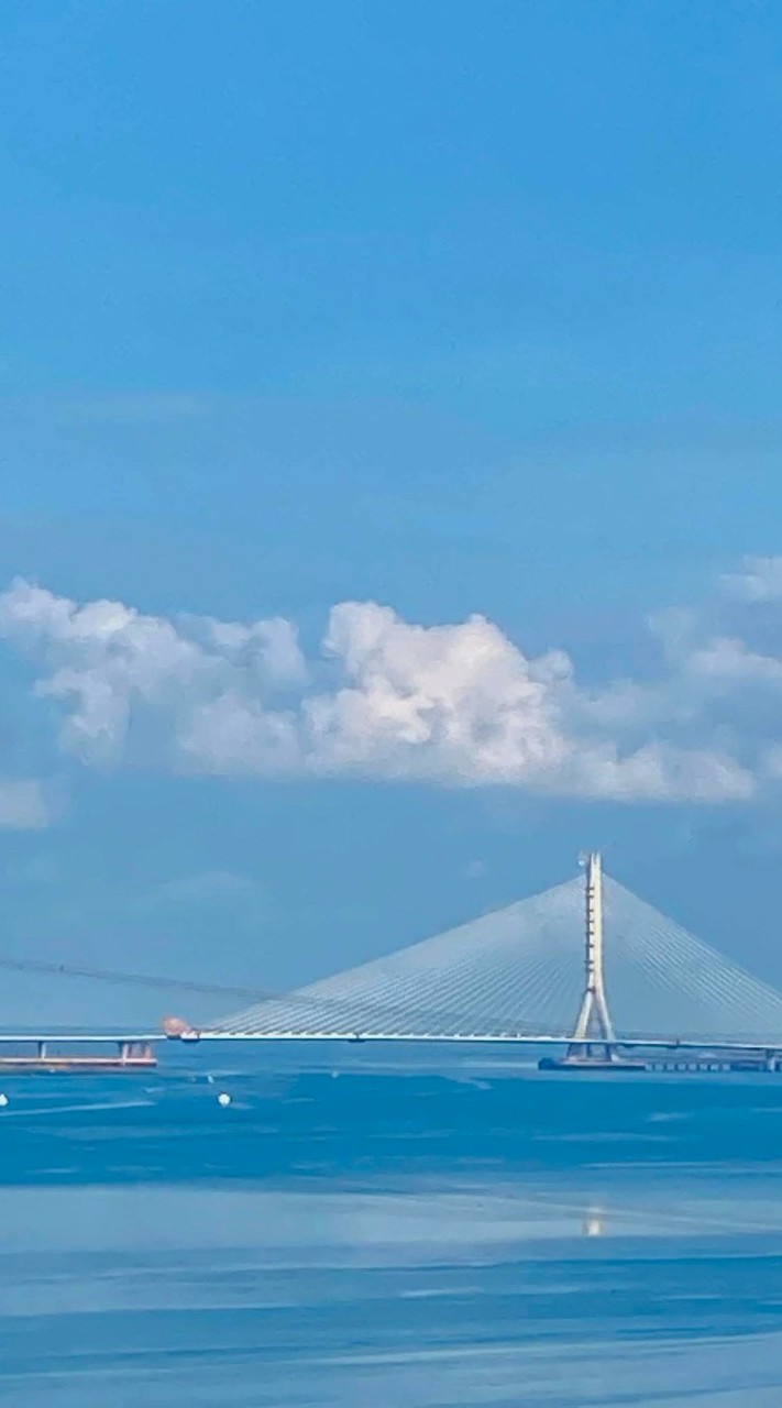 螢幕上的解放