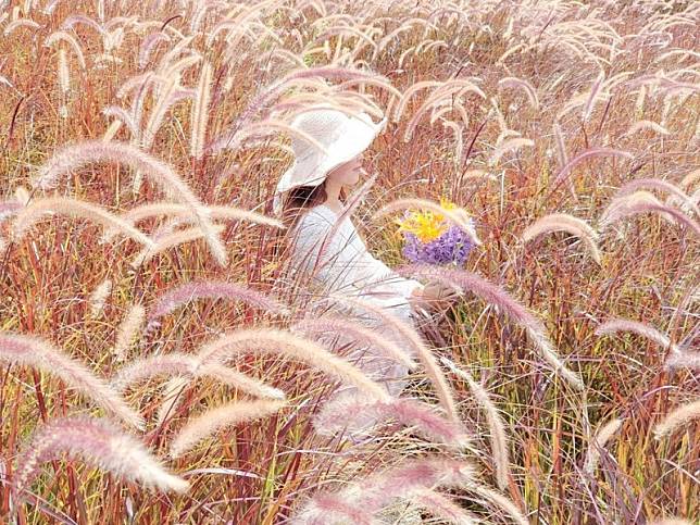 ▲圖片來源：IG@yijiun_lee