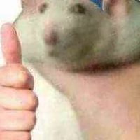 四大天王