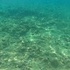 美女写真を送る会（画像、動画、リンクのみ）