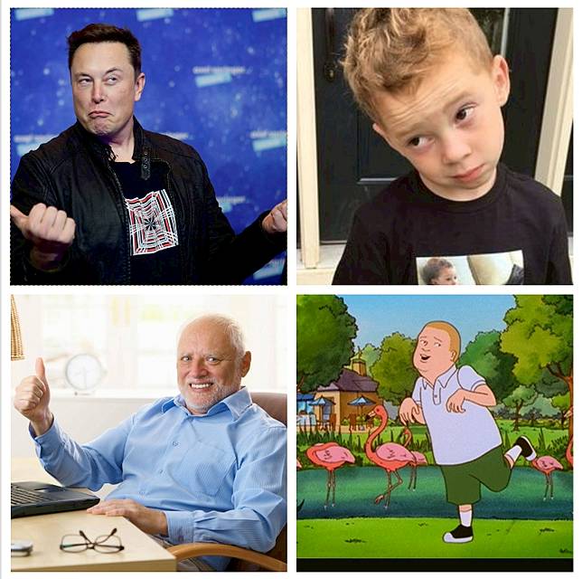 按此下載signal Sticker 一文連結假笑男孩 Bobby Hill4款搞笑sticker Madame Figaro Line Today