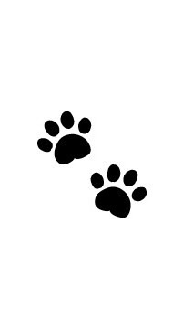 🐶江戸川　親水公園　散歩隊🐶