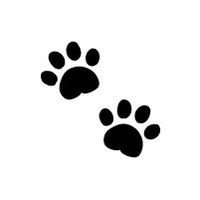 🐶江戸川　親水公園　散歩隊🐶