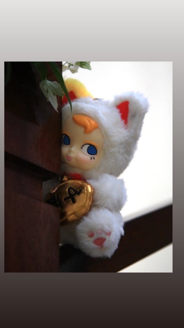 桃園玩具交流群