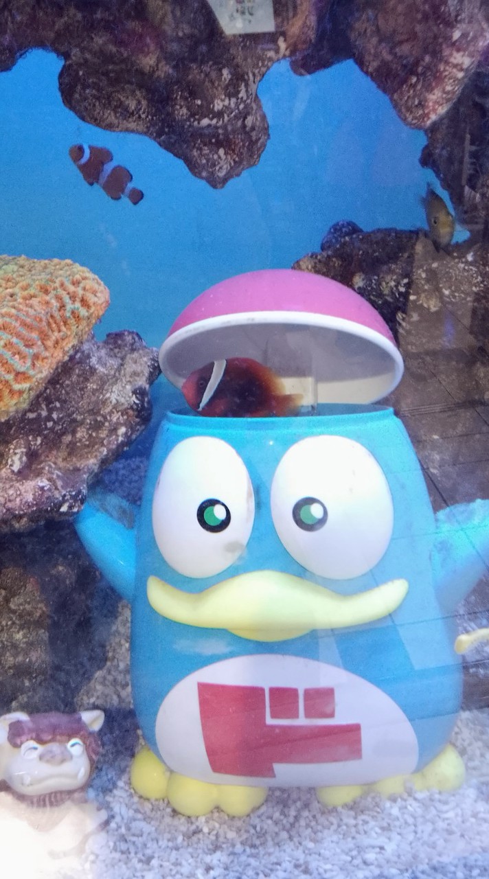 成城高校・中学オープンチャット