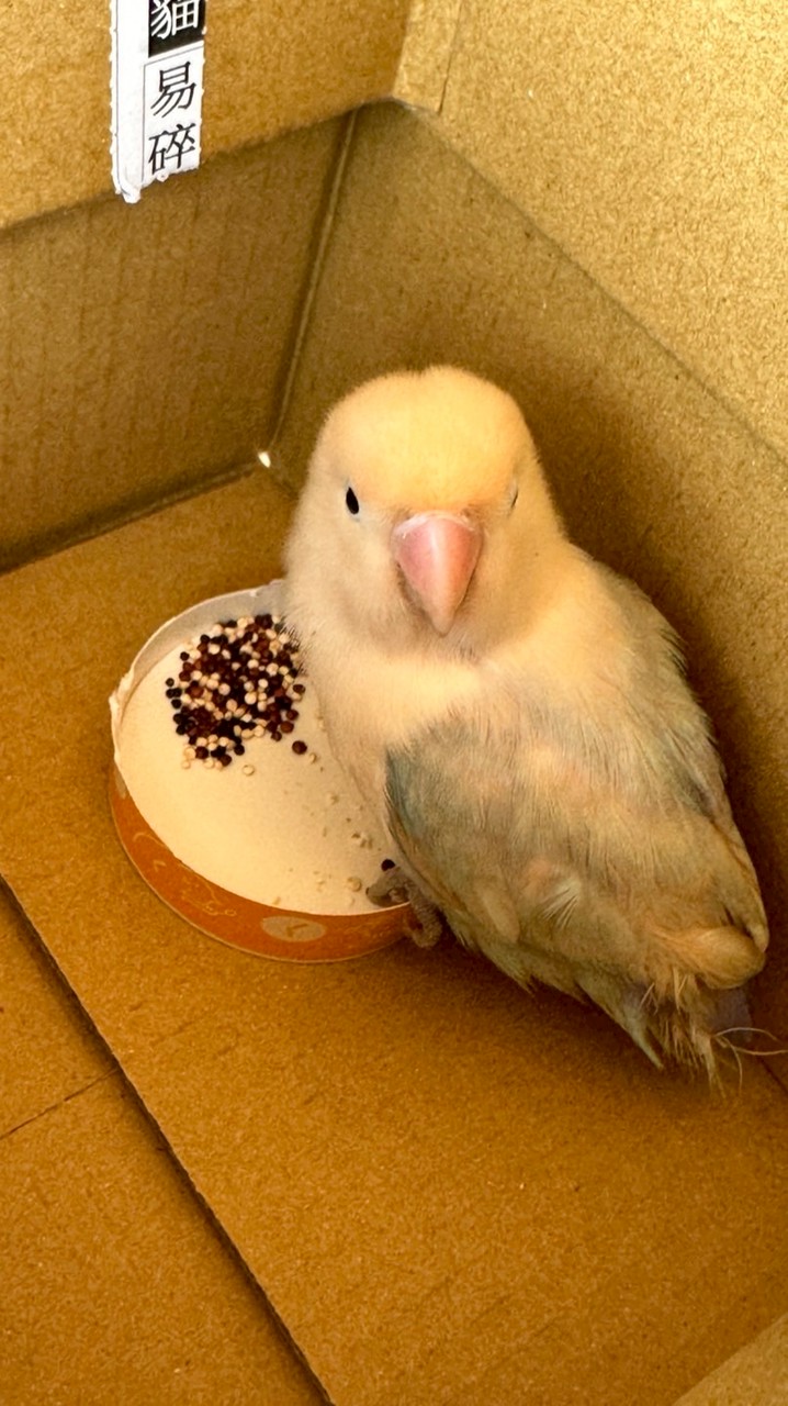 都是好貨Buy起來