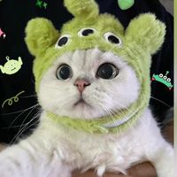 Sunshop寵物衣服 內衣泳衣