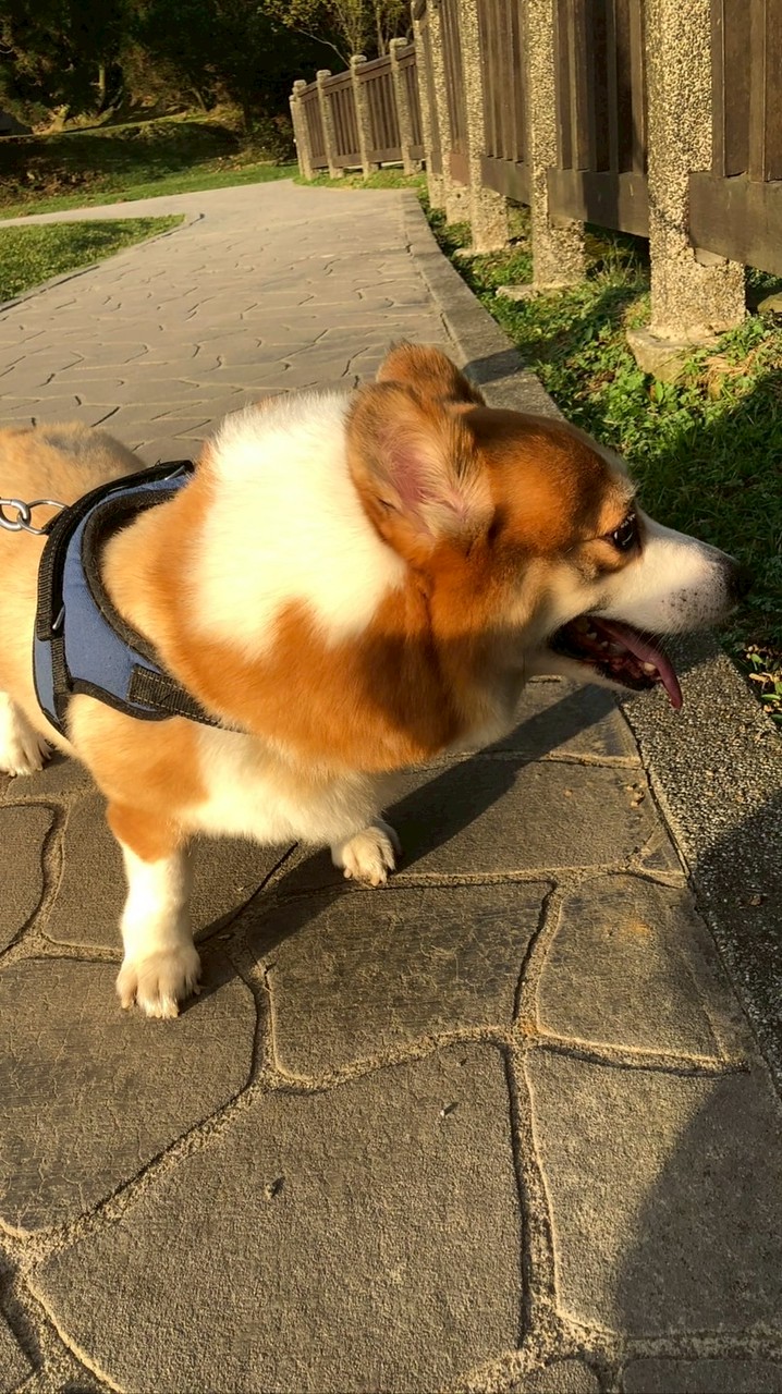 四季同樂會