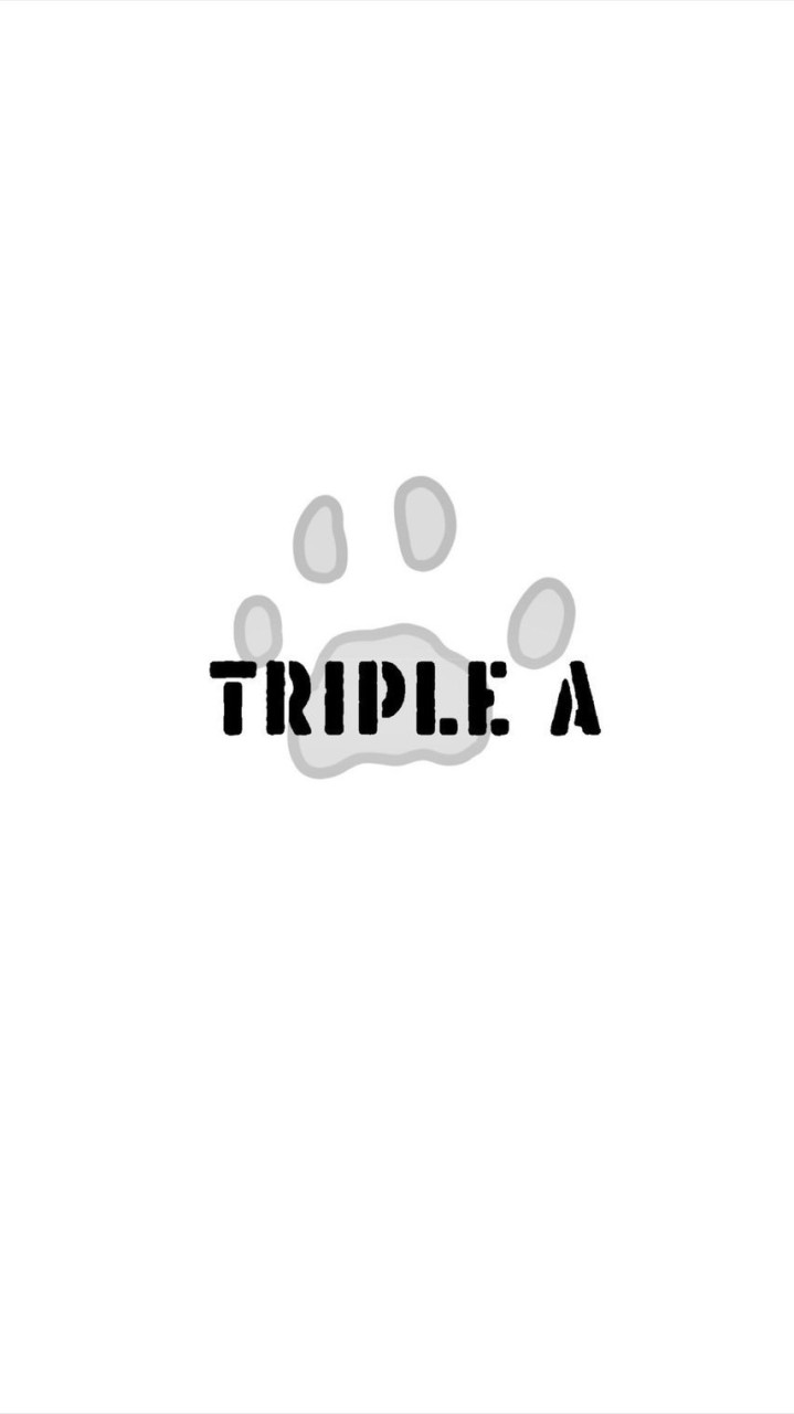 Triple_A_Japan 日本選物店