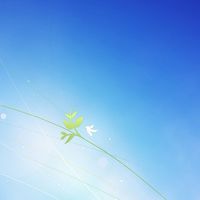 Windows 7安裝研究中心