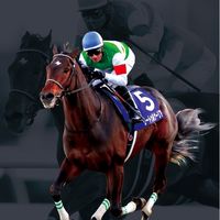 競馬！強面塾(中央競馬)
