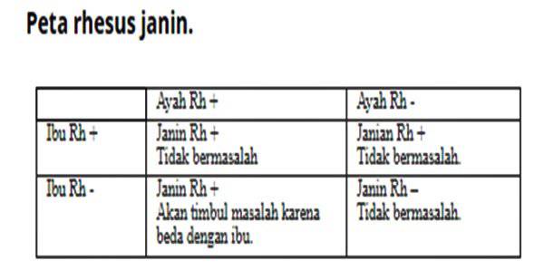 Mengenal Golongan Darah Rhesus Negatif Dan Bahayanya Opini Stories Line Today