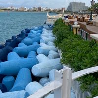 🌺沖縄🌺大好き癒しを求めて🌴オフ会、ランチ会しましょう🎵30代から50代の方お待ちしてます。