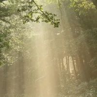 不整脈、心臓が不安な人。(*´꒳`*)みんなで雑談しましょ　下にある説明文読んで