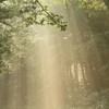 不整脈、心臓が不安な人。(*´꒳`*)みんなで雑談しましょ　下にある説明文読んで