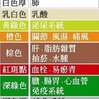 氣功墊／活力機體驗