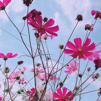 写真好き集まれ