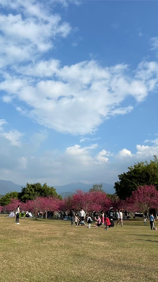 丹爸手作美食、旅遊景點