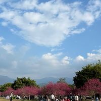 丹爸手作美食、旅遊景點