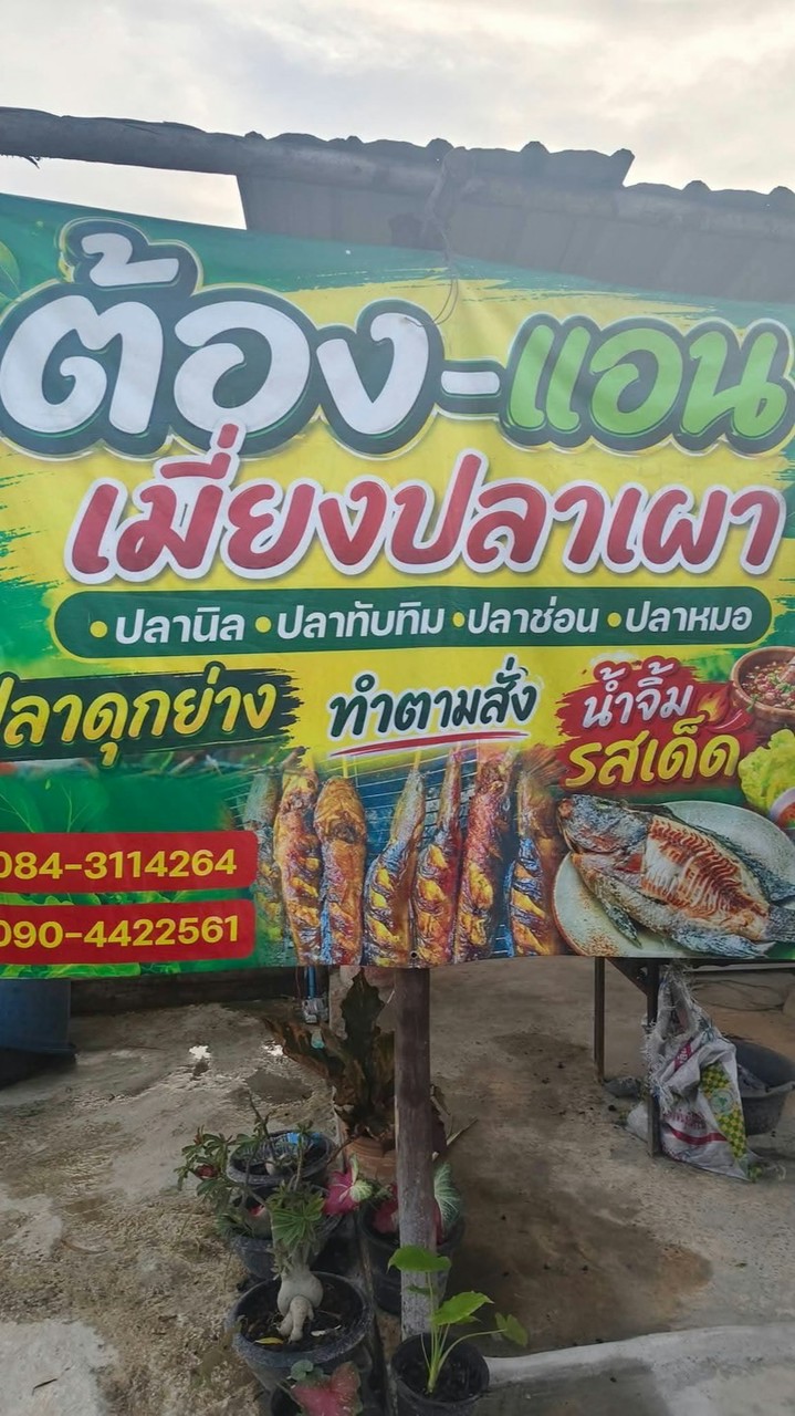 ต้อง-แอน¥เมี่ยงปลาเผา|ปลาดุกย่าง|ปลาสด