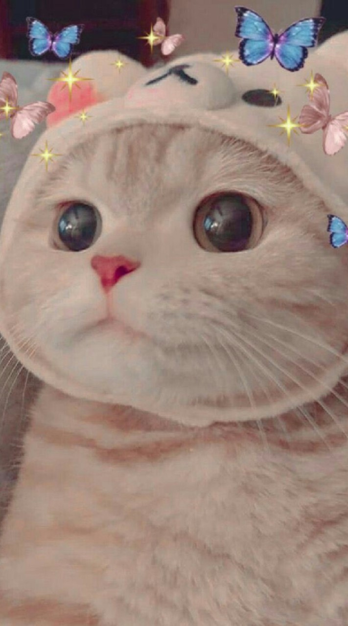 เชิญครับ