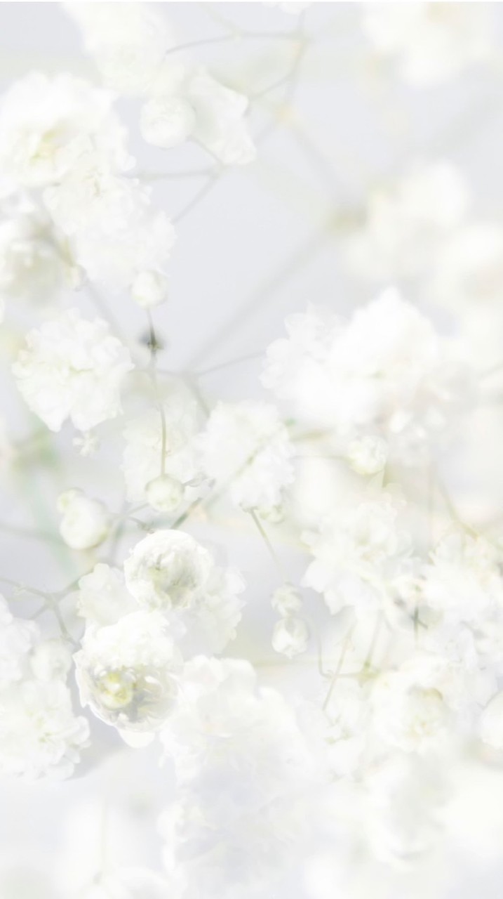 Pure Bliss 選品🌸代購