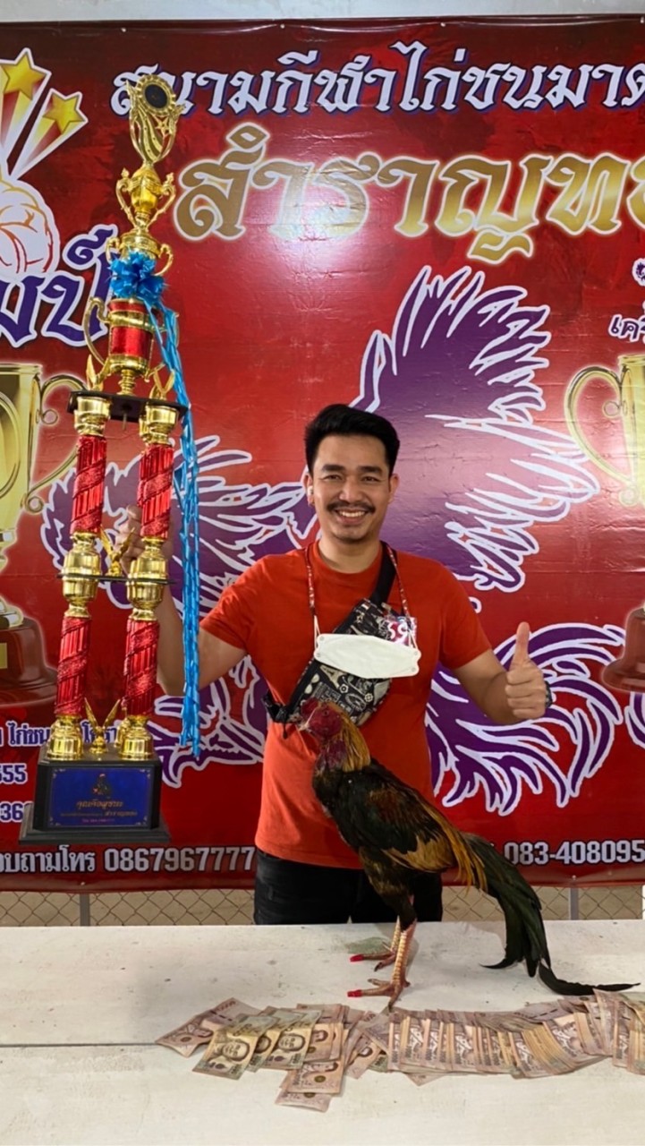 ภูมิรพี ฟาร์ม พม่าตอคม VIP 🐓🐓