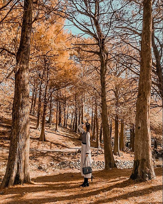 （圖片來源IG／@yulittlestar）