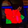 ハナハナ好き集まれ〜🌺