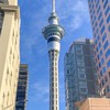 台灣紐西蘭留學交流群！